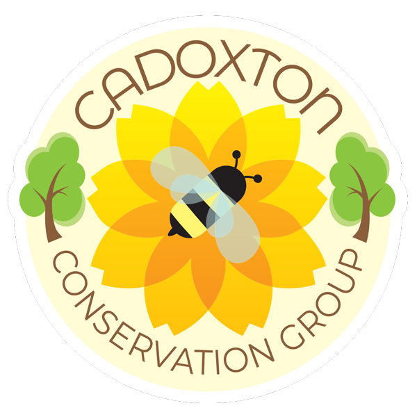 cadoxton-conservation-group-logo
