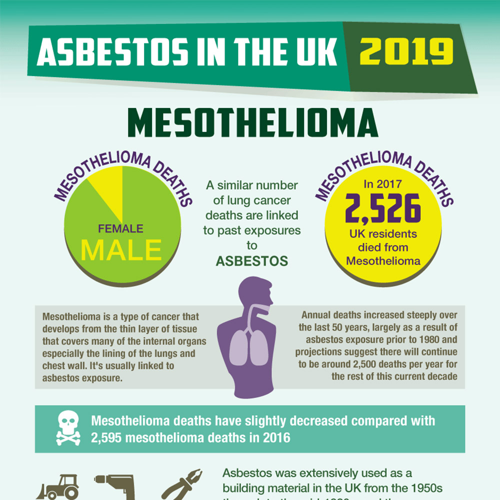 infographic for enquin environmental - asbestos facts