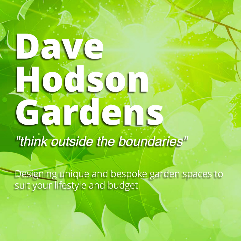 Dave Hodson Garden Designer new website designer in Barry